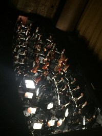 2016-11-26 20.05.06.jpg