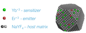 ucnp2-e1544629434966.png